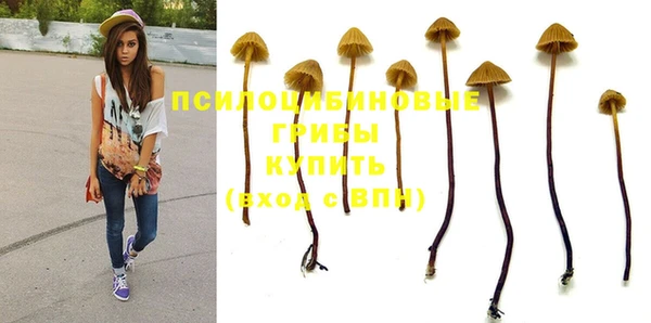 ALPHA PVP Краснотурьинск