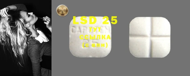 2c-b Бородино