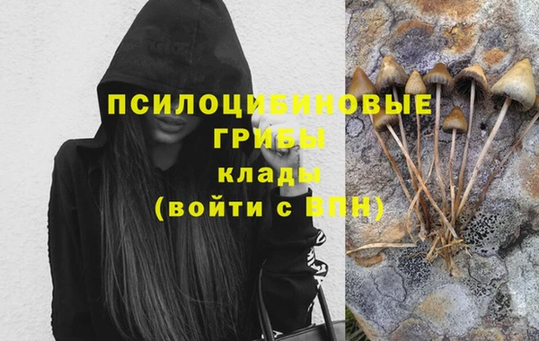 ALPHA PVP Краснотурьинск