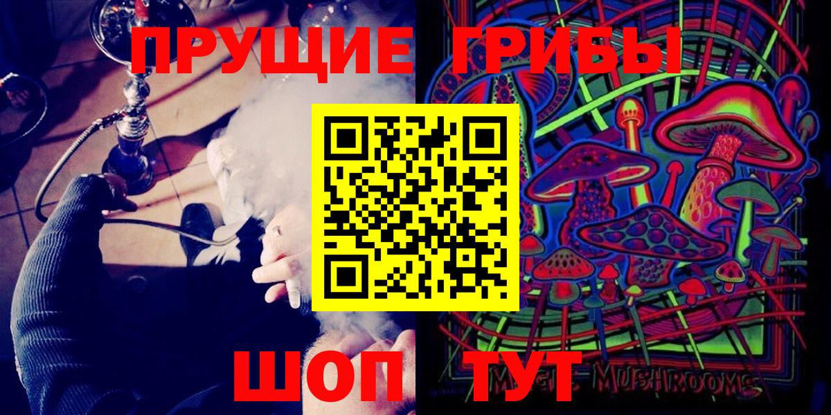 Галлюциногенные грибы Psilocybe Ачинск