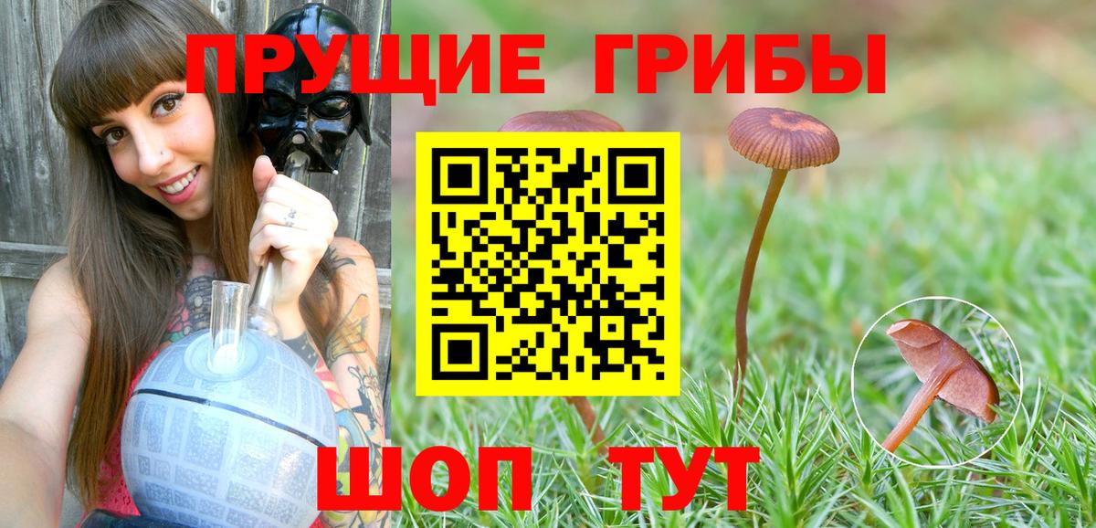 Галлюциногенные грибы Magic Shrooms  Ачинск 